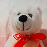 Teddy From Canada - @teddyfromcanada - Instagram