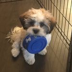 Teddy Cantrell - @teddy_cantrell8228 - Instagram