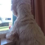 Teddy Carmichael - Facebook