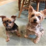 Casey & Teddy - @caseyandteddypics - Instagram