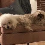 Teddy And Casey - @caseyandteddy - Instagram