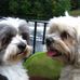 Teddy Casey - Facebook