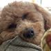 Teddy Castle - Facebook