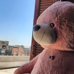 THE TEDDY CASTLE🐻🐼 - @le_bonheur_shop16 - Instagram