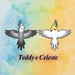 𝑪𝒆𝒍𝒆𝒔𝒕𝒆 𝒆 𝑻𝒆𝒅𝒅𝒚 💛💙 - @_celeste.e.teddy_ - Instagram