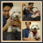 @teddy_chang - Instagram