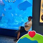 Teddy Chang - @teddy_chang_1 - Instagram