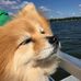 Teddy Chapman - Facebook