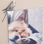 Teddy Chapman - @nina.chapman.357 - Instagram