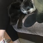 teddy theodore chapmam - @teddytheodorechapman2018 - Instagram