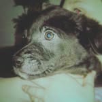 teddy theodore chapman - @teddytheodorechapma - Instagram