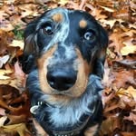 @teddy._clarke - Instagram