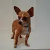 teddycobb391 - @teddycobb391 - TikTok