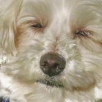 Teddy Cochran - Facebook