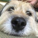 Teddy Cochran - Facebook