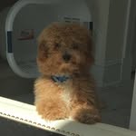 Teddy Cohen - @teddygramscohen - Instagram