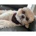 Teddy Cohen - Facebook
