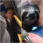 Teddy Collins - @teddycollins04 - Instagram