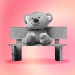 Web Teddy Team - @teddy_connect_team - Instagram