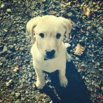 Ted Conway - @teddy_conway - Instagram