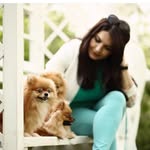 🐼narsis With Teddy&cookie🐶 - @teddy_cookie_pomer - Instagram