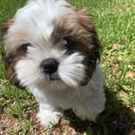 Teddy Cook - @sexc_teddy12 - Instagram