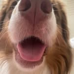 Teddy Cook - @tedrick_cook - Instagram