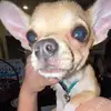 teddy cook - @user1203773929102 - TikTok