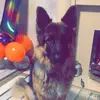 teddycook303 - @teddy_cook.123 - TikTok