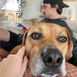 @teddycook_ - Instagram