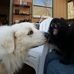 Adventures Of Teddy &amp; Cooper - Facebook