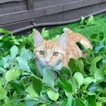 Teddy - @__teddycooper - Instagram