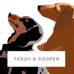 TEDDY & COOPER - @cooper.teddy - Instagram