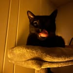 Teddy Cooper - @teddy.coop - Instagram