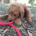 Teddy_cooper - @teddy_cooper_ - Instagram