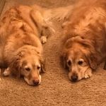Teddy_Cooper - @teddy_cooper8 - Instagram