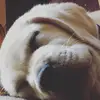 Teddy Cooper - @teddycooper01 - TikTok