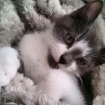 Teddy Cooper - @teddy_c_2018 - Instagram