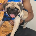 Teddy Cooper - @teddy_cooper2021 - Instagram