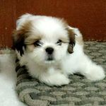 Teddy Cooper - @_teddycooper_ - Instagram