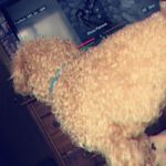 @teddy_corbine - Instagram