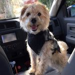 Teddybear - @teddycorbin1022 - Instagram