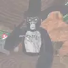 teddy_coyi - @teddy_coyi - TikTok