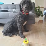@teddycoy2023 - Instagram