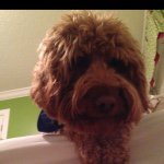 Teddy Cross - @turkeyfootteddy - Instagram