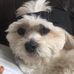 TEDDY CROSS - Facebook