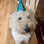 Teddy Crowe - @teddydoodle2019 - Instagram