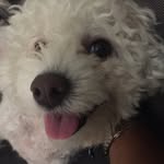 T Boogie - @teddycrump - Instagram