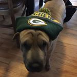 Teddy Curtis - @curtis_teddy - Instagram