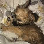 Teddy Curtis - @teddycurtisx - Instagram